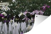 Tuinposter - Tuindoek - Tuinposters buiten - Japanse irisbloemen - Water - Kleuren - 120x80 cm - Tuin
