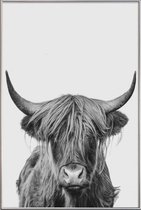 JUNIQE - Poster met kunststof lijst Highland Cow Classic -40x60 /Wit &