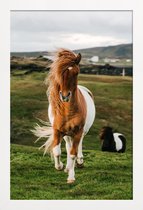 JUNIQE - Poster in houten lijst Shetland Pony's -40x60 /Bruin & Groen