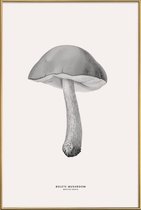 JUNIQE - Poster met kunststof lijst Bolete Mushroom -40x60 /Grijs &