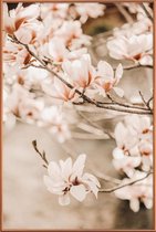 JUNIQE - Poster met kunststof lijst Magnolias 1 -40x60 /Bruin & Ivoor