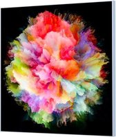 HalloFrame - Schilderij - Kleuren Explosie Wandgeschroefd - Zwart - 100 X 100 Cm