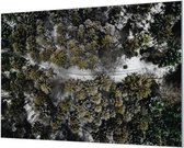 Wandpaneel Bos Natuur Birdseye View  | 120 x 80  CM | Zilver frame | Wandgeschroefd (19 mm)