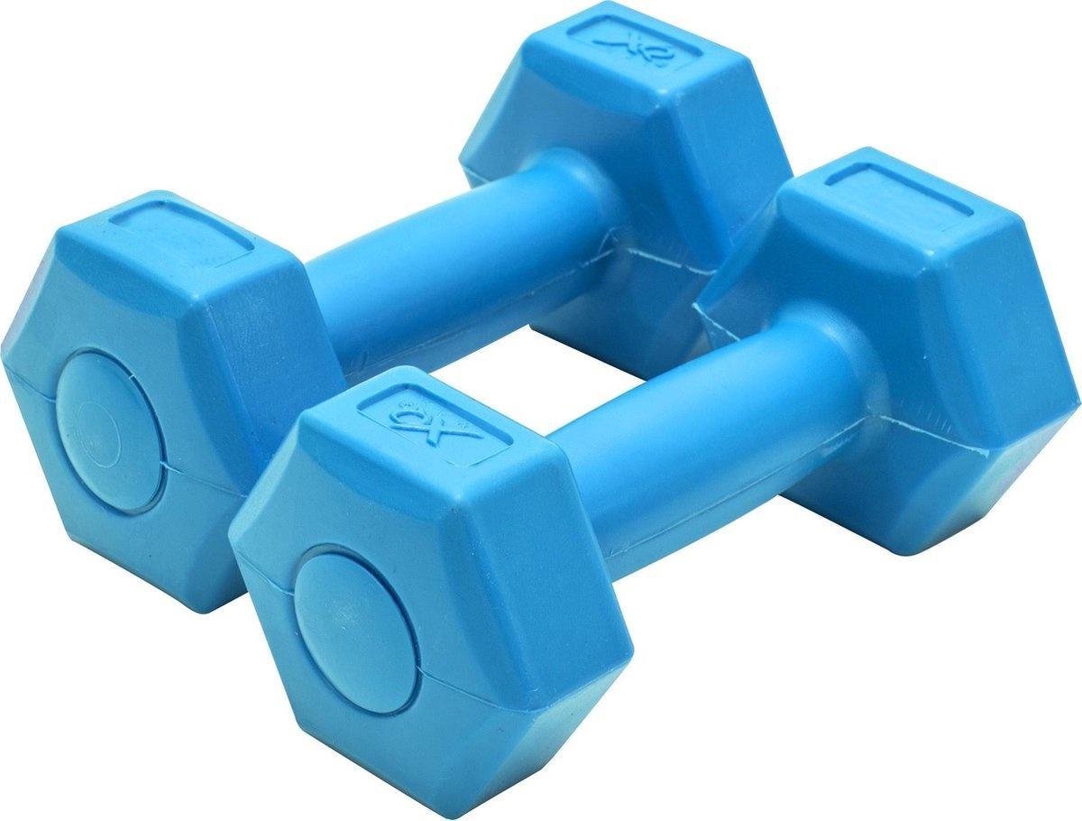 XQ Max Dumbbell - 1 Kg - Cement - 2 Stuks - Blauw