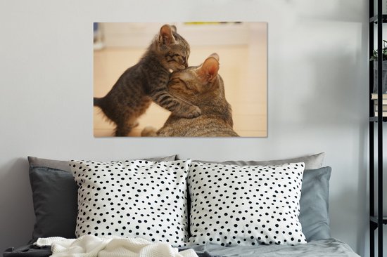 Chat câlin avec chaton 60x40 cm - Tirage photo sur toile (Décoration murale salon / chambre)