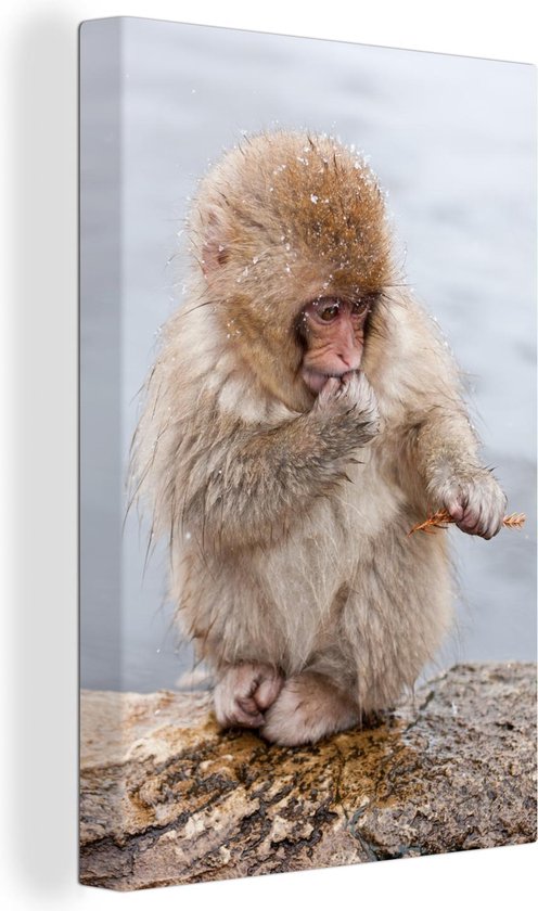 Bébé singe dans la neige 80x120 cm - impression photo sur toile peinture (Décoration murale salon / chambre à coucher) / Animaux sauvages Peintures Toile