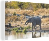 Canvas Schilderij Baby olifant aan een plas met water in Namibië - 120x80 cm - Wanddecoratie