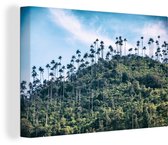 Canvas Schilderij Berg met bomen in Colombia - 60x40 cm - Wanddecoratie
