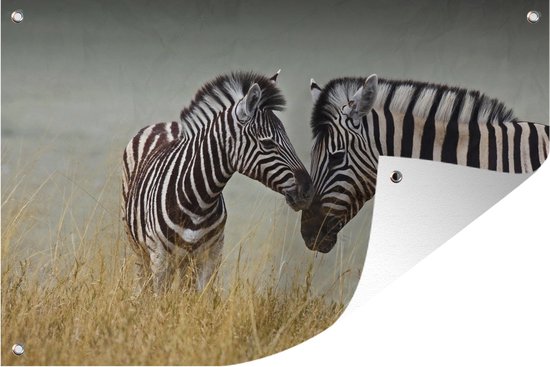 Tuindecoratie Moeder zebra en haar jong - 60x40 cm - Tuinposter - Tuindoek - Buitenposter