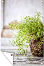 Tuinposter - Tuindoek - Tuinposters buiten - Rieten mand met de lichtgroene tijm planten op een rustieke tafel - 80x120 cm - Tuin