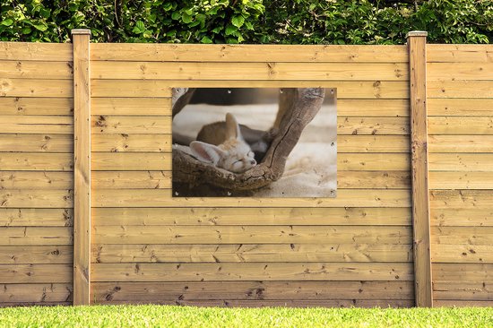 Tuinposter 120x80 cm - Tuindecoratie Woestijnvos slaapt in holle boomstam - Poster voor in de tuin - Buiten decoratie - Schutting tuinschilderij - Tuindoek muurdecoratie - Wanddecoratie balkondoek