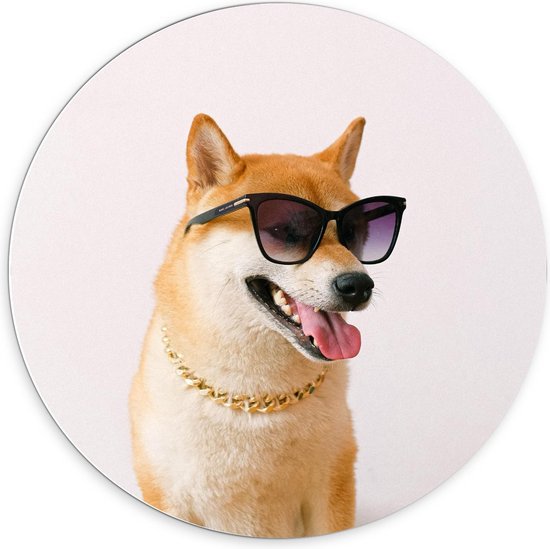 Forex Wandcirkel - Stoere Hond met Zonnebril en Gouden Ketting - 70x70cm Foto op Wandcirkel (met ophangsysteem)