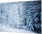 Wandpaneel Winterlandschap Bos  | 100 x 70  CM | Zwart frame | Wand-beugels (27 mm)