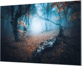 Wandpaneel Donker bos in de herfst  | 150 x 100  CM | Zwart frame | Wand-beugels (27 mm)
