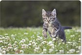 Muismat Kittens - Een kitten in een veld met klaver muismat rubber - 27x18 cm - Muismat met foto