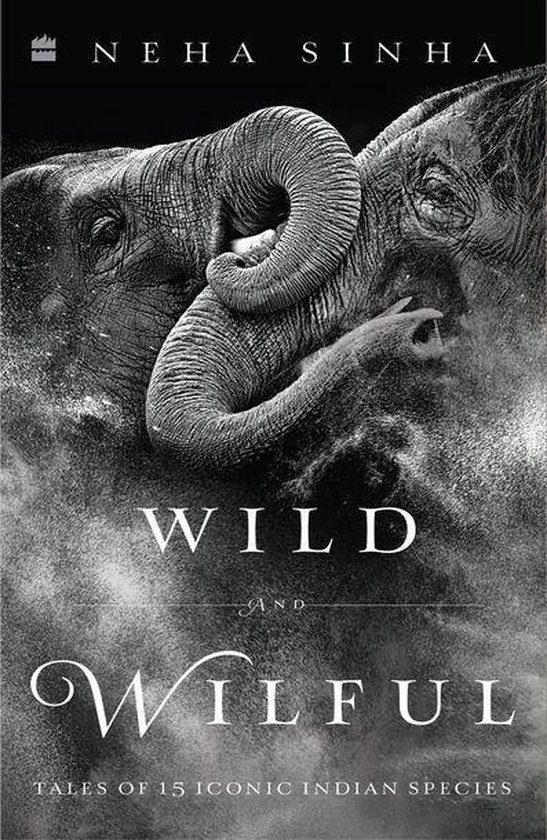 Wild And Wilful - cover