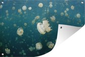 Tuindecoratie Kwal - Oceaan - Water - 60x40 cm - Tuinposter - Tuindoek - Buitenposter