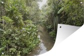 Tuinposter - Tuindoek - Tuinposters buiten - Een rivier die door het dichtbegroeide regenwoud in het Nationaal park Andasibe Mantadia stroomt - 120x80 cm - Tuin