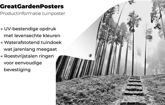 Affiche de jardin photo Zwart et blanc d'un escalier entre les arbres dans la brume 120x80 cm - Toile de jardin / Toile d'extérieur / Peintures d'extérieur (décoration de jardin)