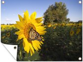 Tuin decoratie Vlinder op een zonnebloem - 40x30 cm - Tuindoek - Buitenposter