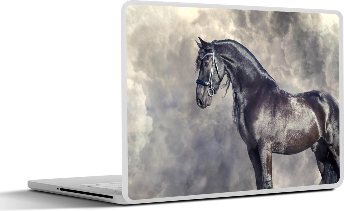 Laptop sticker - 12.3 inch - Fries - Paarden - Portret - 30x22cm - Laptopstickers - Laptop skin - Cover