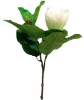 Medina Kunstplant Magnolia Grandiflora 66 Cm Zijde