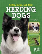 Dog Encyclopedias - Collies, Corgies, and Other Herding Dogs
