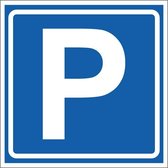 Parkeerbord - kunststof - E4 300 x 300 mm