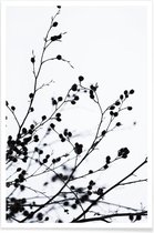JUNIQE - Poster Winter Silhouettes 1 -20x30 /Wit & Zwart