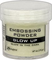 Ranger Embossing Powder 34ml - Glow up EPJ79095 .67 OZ / 19GR
