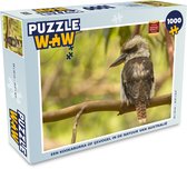 Puzzel Een kookaburra of ijsvogel in de natuur van Australië - Legpuzzel - Puzzel 1000 stukjes volwassenen