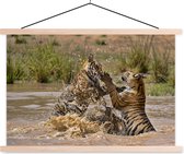 Jeunes tigres jouant dans l'eau affiche textielposter lattes vierge 60x40 cm - Tirage photo sur plaque école (décoration murale salon / chambre)