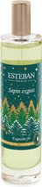 Esteban Noël Sapin Exquis Crème Spray 75ml