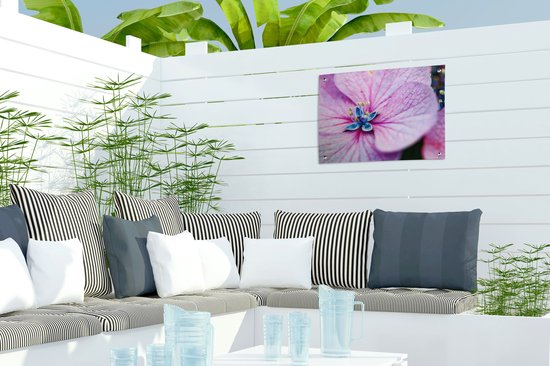 Affiche de jardin Hortensia - Détails Hortensia 40x30 cm - Toile de jardin / Toile d'extérieur / Peintures d'extérieur (décoration de jardin)