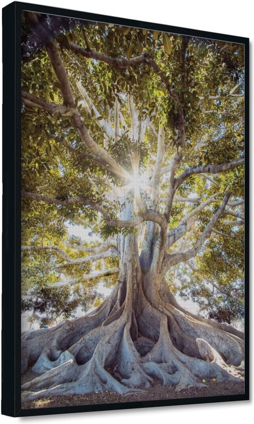 Akoestische panelen - Geluidsisolatie - Akoestische wandpanelen - Akoestisch schilderij AcousticPro® - paneel met grote boom in Mauritius - design 209 - Basic - 70X100 - zwart- Wanddecoratie - woonkamer - geluidsdemper - studio schuim