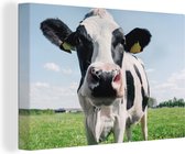 Canvas - Koe - Zwart-wit - Close-up - Natuur - Dier - Canvas schilderij koe - Wanddecoratie - 30x20 cm