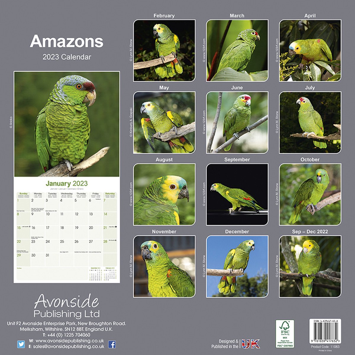 Amazone Kalender 2023  bol.com