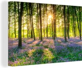 Schilderijen op Canvas Bloemen - Natuur - Bos - Zon - Paars - 180x120 cm - Foto op Canvas - Wanddecoratie