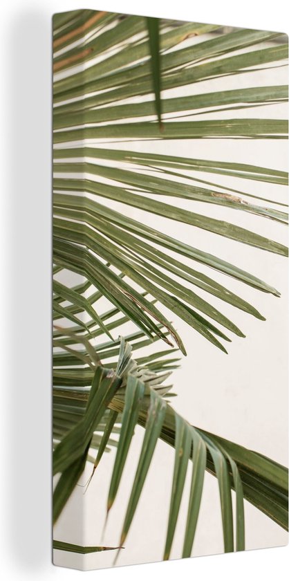 Canvas Schilderij Bladeren - Palmblad - Tropisch - Zomer - 20x40 cm - Wanddecoratie
