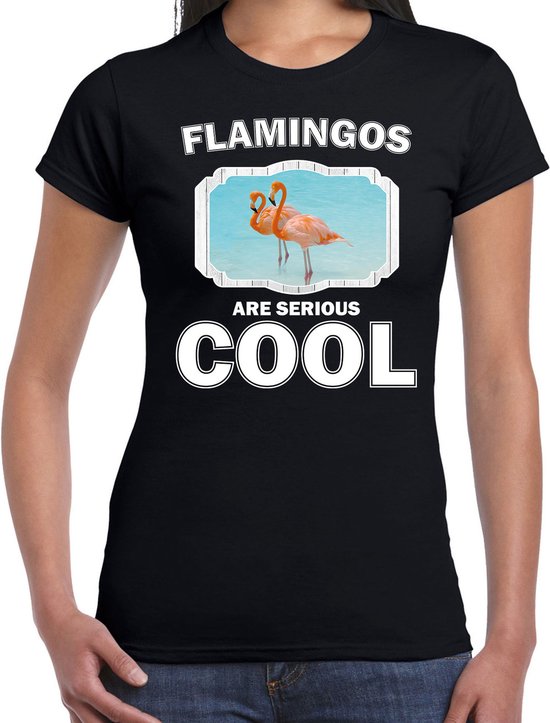 Dieren flamingo vogels t-shirt zwart dames - flamingos are serious cool shirt - cadeau t-shirt flamingo/ flamingo vogels liefhebber M
