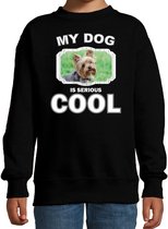 Yorkshire terrier honden trui / sweater my dog is serious cool zwart - kinderen - Yorkshire terriers liefhebber cadeau sweaters - kinderkleding / kleding 152/164