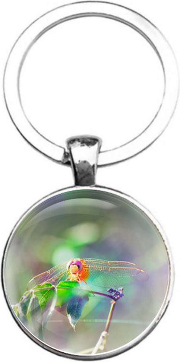 Sleutelhanger Glas - Libelle
