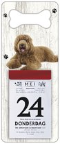 Scheurkalender 2024 Hond: labradodel bruin