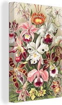 Canvas - Bloemen - Orchidee - Muurdecoratie Kleurrijk - Vintage - Canvas schilderij bloemen - Canvas schilderij - Oude meesters - 60x90 cm