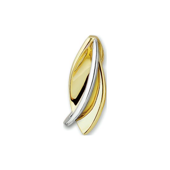 Foto: Trendjuwelier huiscollectie 4205243 bicolor gouden hanger