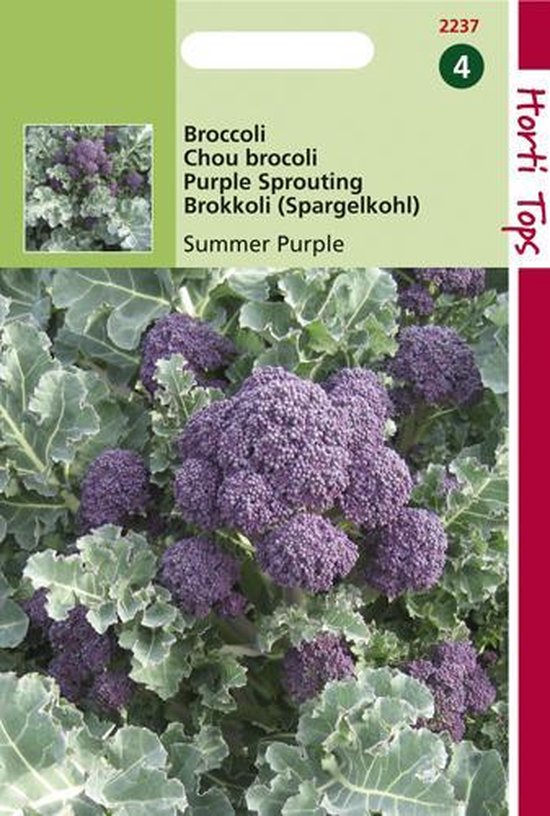 Hortitops Zaden - Broccoli Summer Purple
