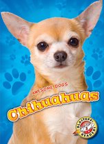 Awesome Dogs - Chihuahuas