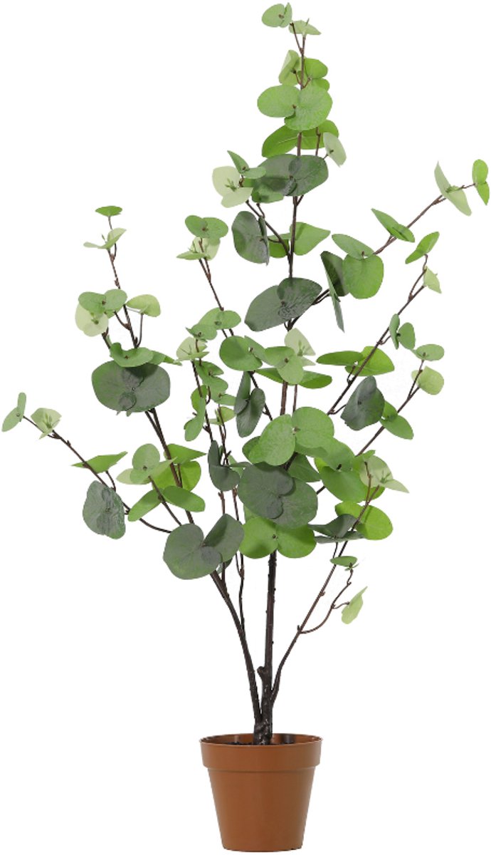 Trendyplants - Kunst Eucalyptus Green - Eucalyptusboom - Kunstplant - Hoogte 86cm - Potmaat Ø13cm