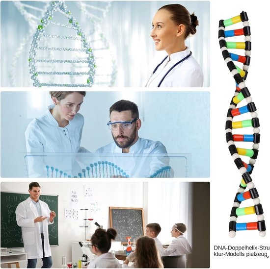 Dubbele Helix Model - DNA Model - Biologie Leren - Duurzaam ABS Materiaal - 40 cm - Wit — afbeelding 4