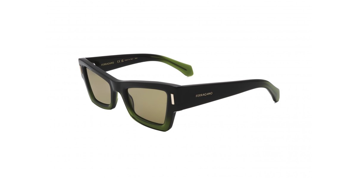 Ferragamo SF2006S Transparent dark g 53/23/140 WOMAN Zonnebrillen